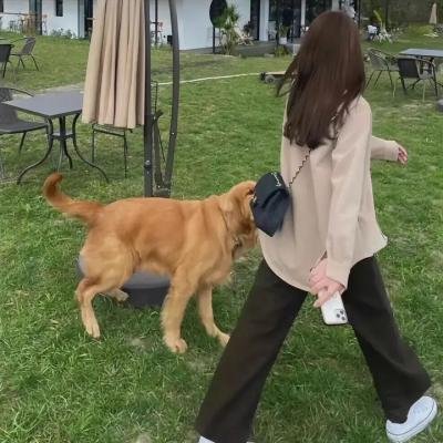 猛龙过沟2